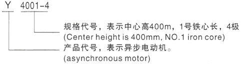 西安泰富西玛Y系列(H355-1000)高压YE2-315L1-6三相异步电机型号说明