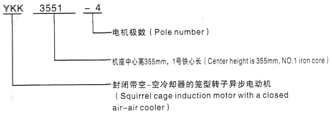 YKK系列(H355-1000)高压YE2-315L1-6三相异步电机西安泰富西玛电机型号说明